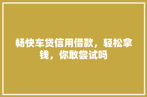 畅快车贷信用借款，轻松拿钱，你敢尝试吗