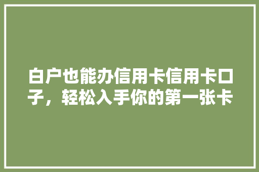 白户也能办信用卡信用卡口子，轻松入手你的第一张卡