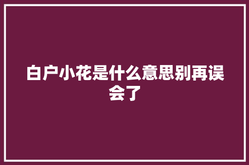 白户小花是什么意思别再误会了