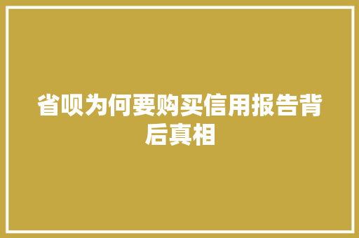 省呗为何要购买信用报告背后真相