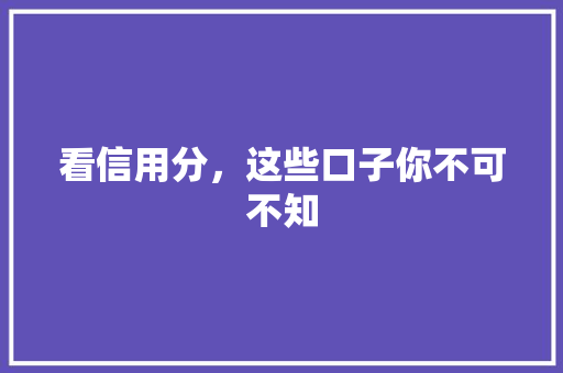 看信用分，这些口子你不可不知