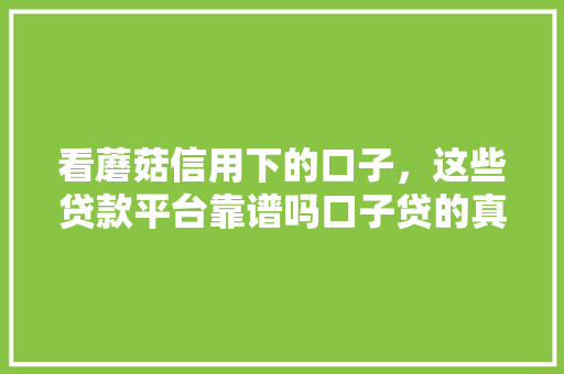 看蘑菇信用下的口子，这些贷款平台靠谱吗口子贷的真相大