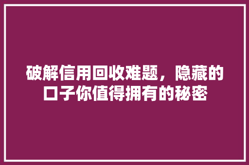 破解信用回收难题，隐藏的口子你值得拥有的秘密