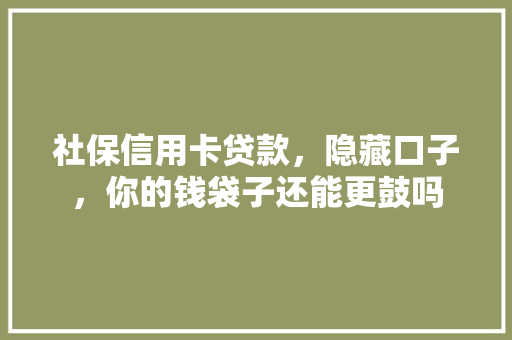 社保信用卡贷款，隐藏口子，你的钱袋子还能更鼓吗