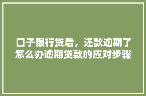 口子银行贷后，还款逾期了怎么办逾期贷款的应对步骤全