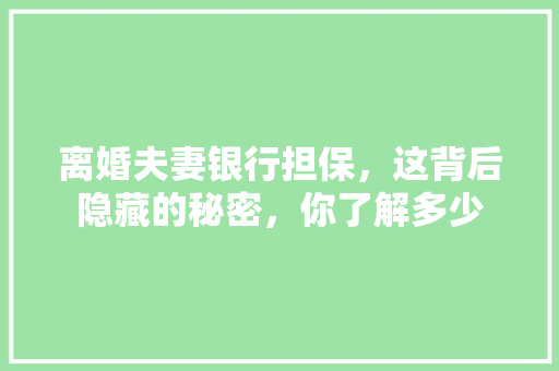 离婚夫妻银行担保，这背后隐藏的秘密，你了解多少