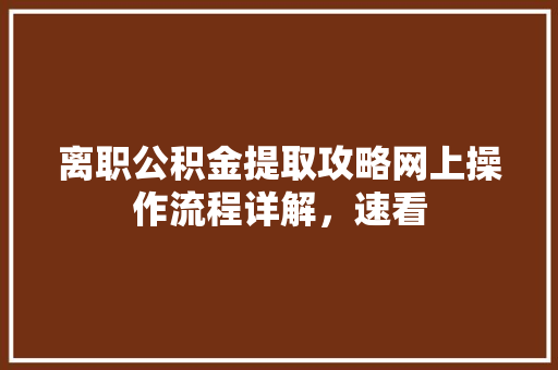 离职公积金提取攻略网上操作流程详解，速看