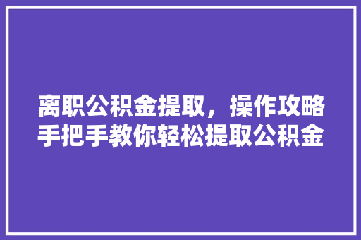 离职公积金提取，操作攻略手把手教你轻松提取公积金，别错过