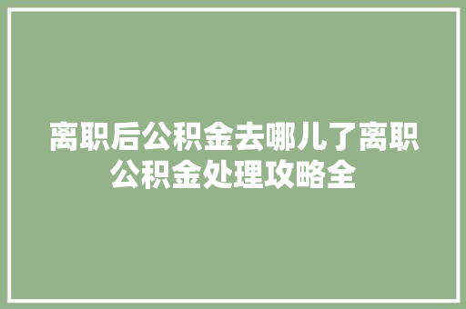 离职后公积金去哪儿了离职公积金处理攻略全