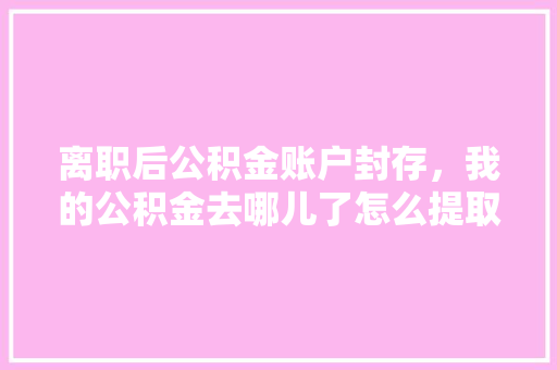 离职后公积金账户封存，我的公积金去哪儿了怎么提取