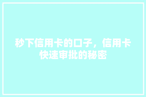 秒下信用卡的口子，信用卡快速审批的秘密