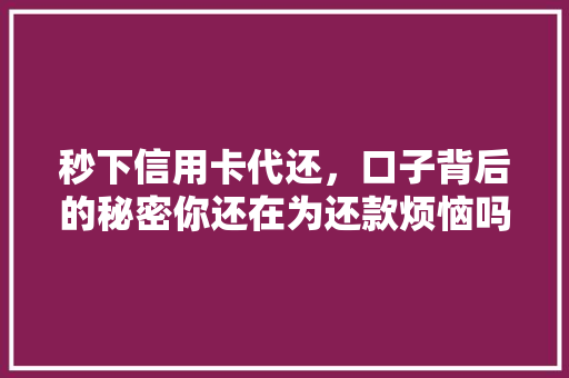 秒下信用卡代还，口子背后的秘密你还在为还款烦恼吗