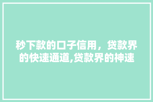 秒下款的口子信用，贷款界的快速通道,贷款界的神速服务