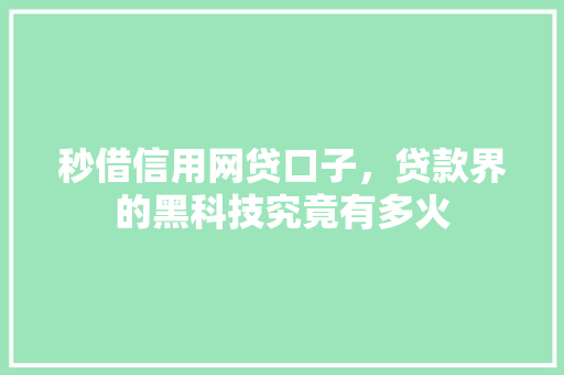 秒借信用网贷口子，贷款界的黑科技究竟有多火
