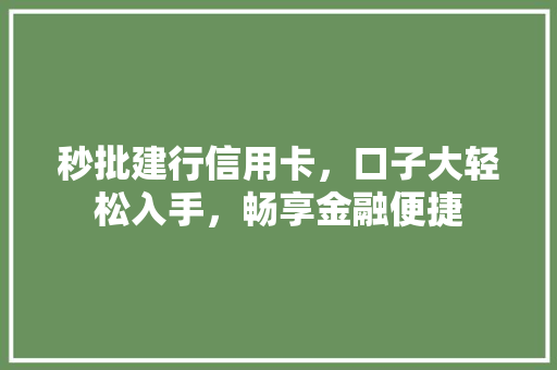 秒批建行信用卡，口子大轻松入手，畅享金融便捷