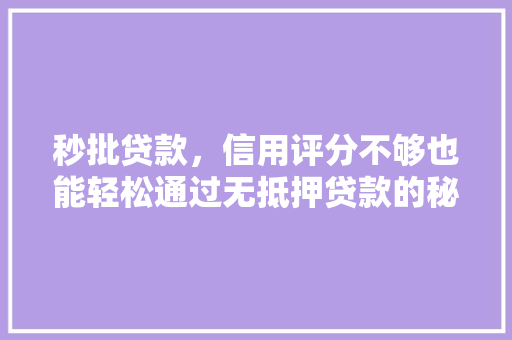 秒批贷款，信用评分不够也能轻松通过无抵押贷款的秘密