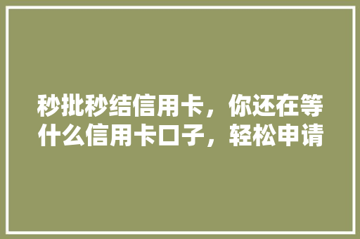秒批秒结信用卡，你还在等什么信用卡口子，轻松申请