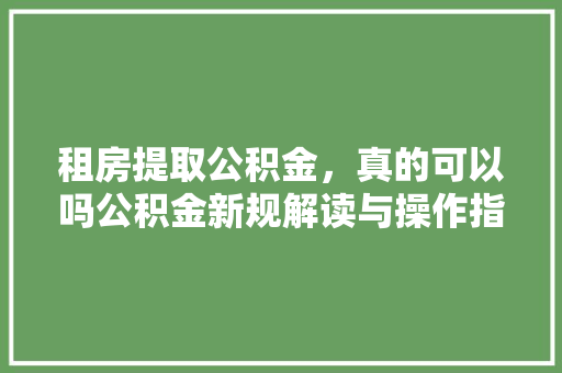 租房提取公积金，真的可以吗公积金新规解读与操作指南