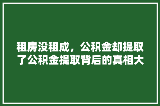 租房没租成，公积金却提取了公积金提取背后的真相大