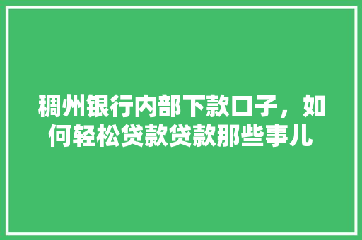 稠州银行内部下款口子，如何轻松贷款贷款那些事儿