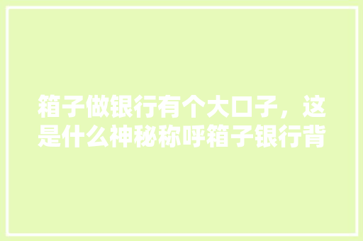 箱子做银行有个大口子，这是什么神秘称呼箱子银行背后的秘密