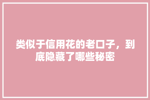 类似于信用花的老口子，到底隐藏了哪些秘密