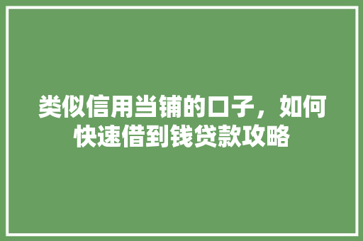 类似信用当铺的口子，如何快速借到钱贷款攻略