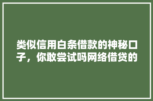 类似信用白条借款的神秘口子，你敢尝试吗网络借贷的隐秘角落