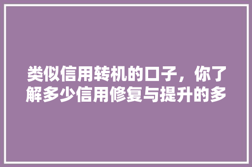 类似信用转机的口子，你了解多少信用修复与提升的多种途径