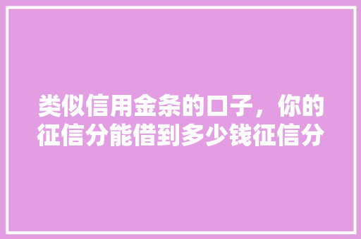 类似信用金条的口子，你的征信分能借到多少钱征信分在借款中的奥秘