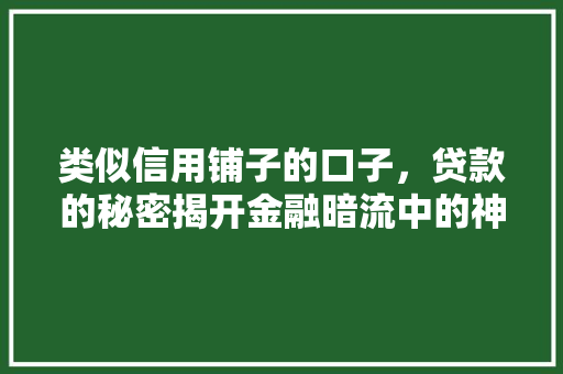 类似信用铺子的口子，贷款的秘密揭开金融暗流中的神秘面纱