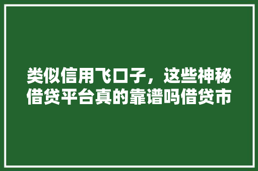 类似信用飞口子，这些神秘借贷平台真的靠谱吗借贷市场的暗流涌动