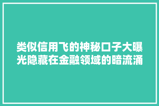 类似信用飞的神秘口子大曝光隐藏在金融领域的暗流涌动