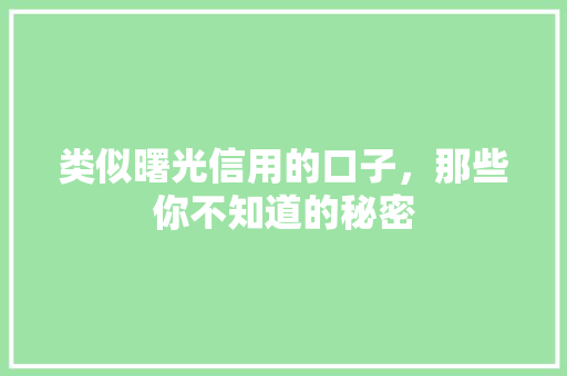 类似曙光信用的口子，那些你不知道的秘密