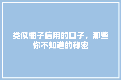 类似柚子信用的口子，那些你不知道的秘密