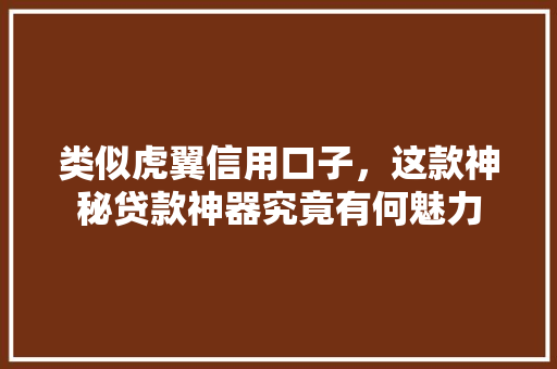 类似虎翼信用口子，这款神秘贷款神器究竟有何魅力