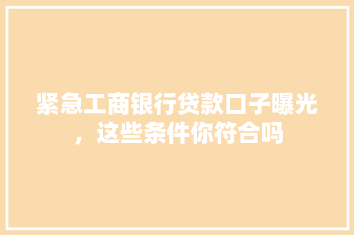紧急工商银行贷款口子曝光，这些条件你符合吗