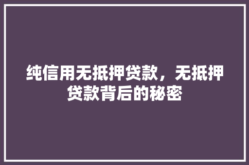 纯信用无抵押贷款，无抵押贷款背后的秘密