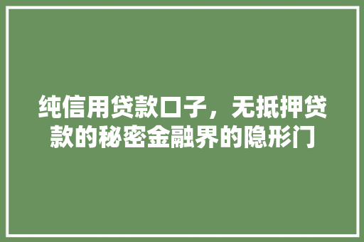 纯信用贷款口子，无抵押贷款的秘密金融界的隐形门