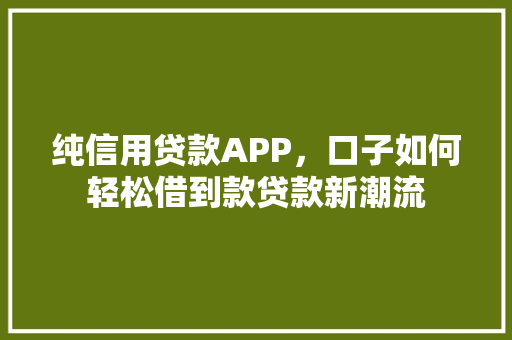 纯信用贷款APP，口子如何轻松借到款贷款新潮流