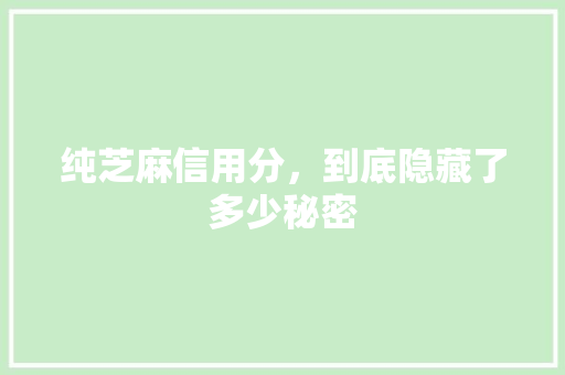 纯芝麻信用分，到底隐藏了多少秘密