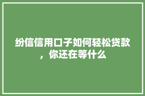 纷信信用口子如何轻松贷款，你还在等什么