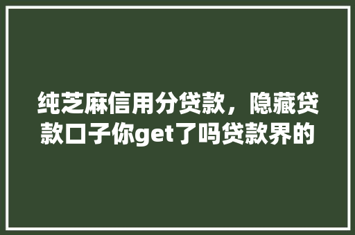 纯芝麻信用分贷款，隐藏贷款口子你get了吗贷款界的黑科技