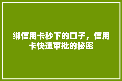 绑信用卡秒下的口子，信用卡快速审批的秘密