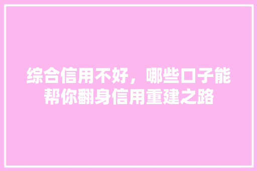 综合信用不好，哪些口子能帮你翻身信用重建之路