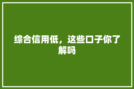 综合信用低，这些口子你了解吗