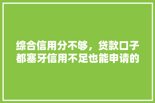 综合信用分不够，贷款口子都塞牙信用不足也能申请的贷款攻略