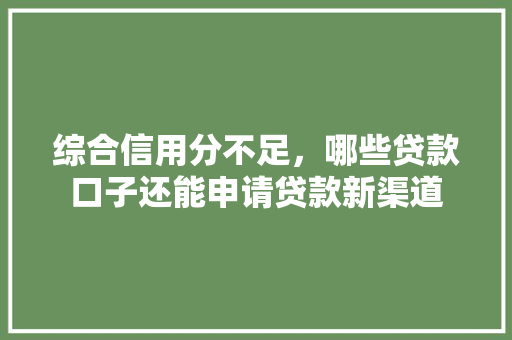 综合信用分不足，哪些贷款口子还能申请贷款新渠道