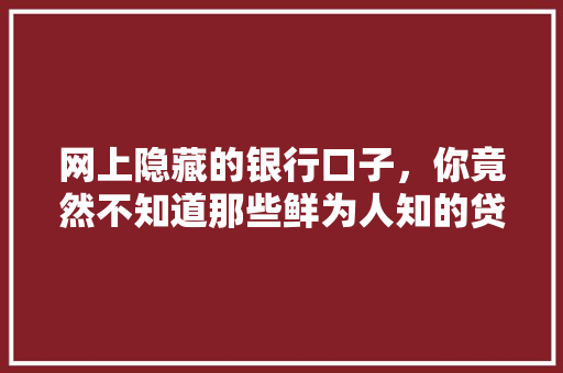 网上隐藏的银行口子，你竟然不知道那些鲜为人知的贷款渠道