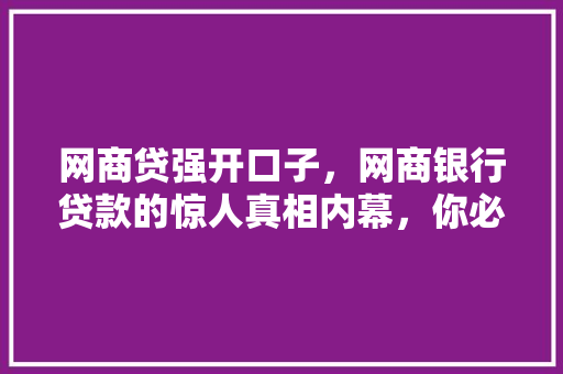 网商贷强开口子，网商银行贷款的惊人真相内幕，你必须知道的细节